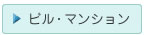 �ӥ롦�ޥ󥷥��